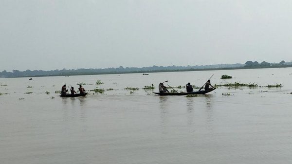 সুগন্ধা ও বিষখালীতে চলছে ইলিশ নিধন উৎসব, আনুষ্ঠানিকতায় ব্যস্ত কর্মকর্তা