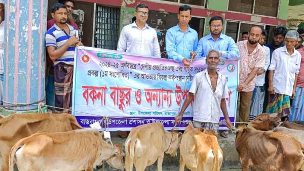 রাজাপুরে জেলেদের মাঝে বিকল্প কর্মসংস্থানের লক্ষ্যে বকনা বাছুর বিতরণ