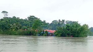 কাঠালিয়ায় ১২ গ্রাম প্লাবিত, আতঙ্কে নদীর পাড়ের মানুষ