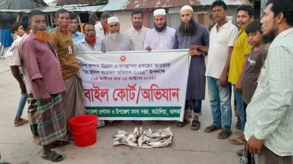 কাঠালিয়ায় প্রশাসনের কঠোর নজরদারিতেও রক্ষা পাচ্ছে না মা ইলিশ
