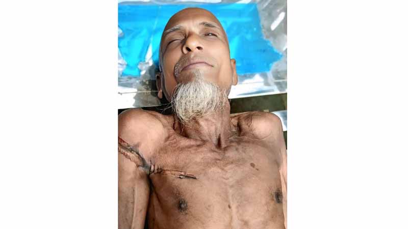 কাঠালিয়ায় ধানখেতে ইঁদুর মারার বৈদ্যুতিক ফাঁদে প্রাণ গেল কৃষকের