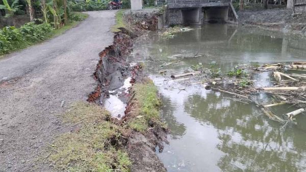 রাজাপুরে অপরিকল্পিত খাল খননে সড়কে ধস